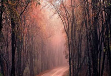 开云体育：阿曼主帅：首回合交手韩国一度控制节奏，只因最后失误才致丢球.