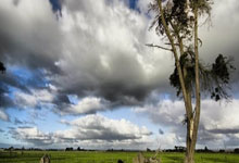 ⚡镜报：利物浦今夏或首度面临功勋集体离队潮.