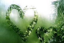 开云体育：乒乓混团世界杯 新加坡小组赛场场硬仗.