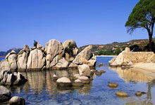 [乒乓球]王楚钦首夺WTT重庆冠军赛男单冠军.